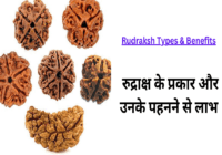 Rudraksh Types and Benefits