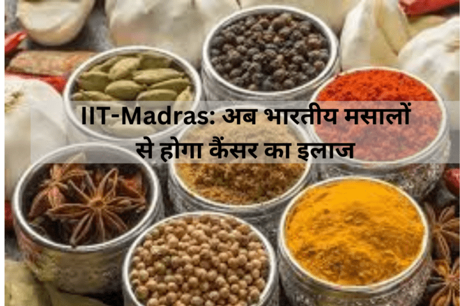 IIT Madras Research on indian spices to treat cancer