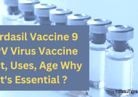 Gardasil Vaccine 9 HPV Virus Vaccine Cost