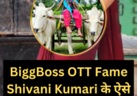 Biggboss OTT 3 Shivani Kumari Personal Life Secreat
